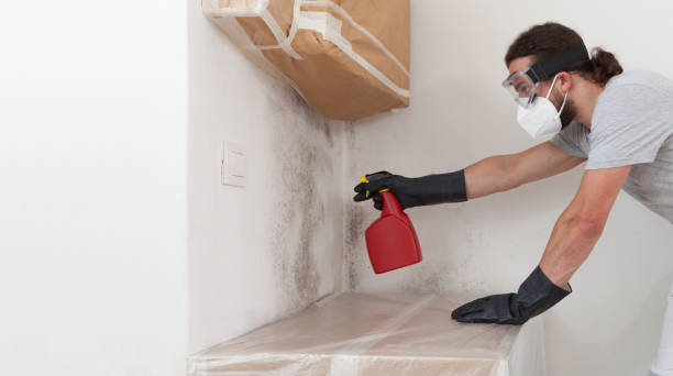 Professional Bathroom Mold Removal technician working in Lexington, WA