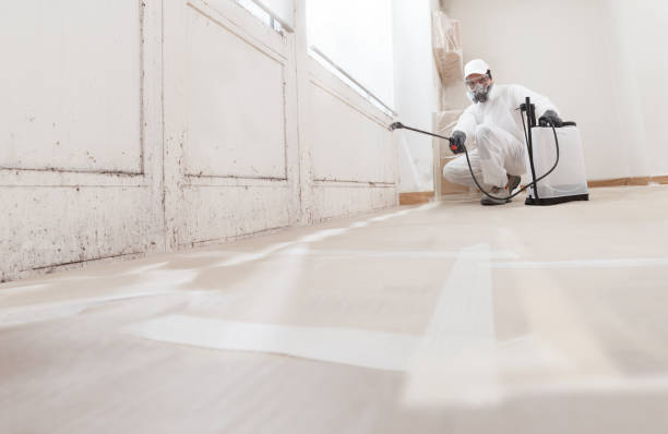 24/7 Emergency Bathroom Mold Removal experts in Lexington, WA