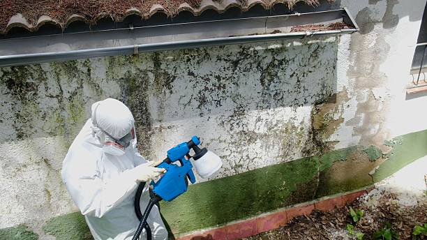 Top rated local Bathroom Mold Removal specialists in Lexington, WA
